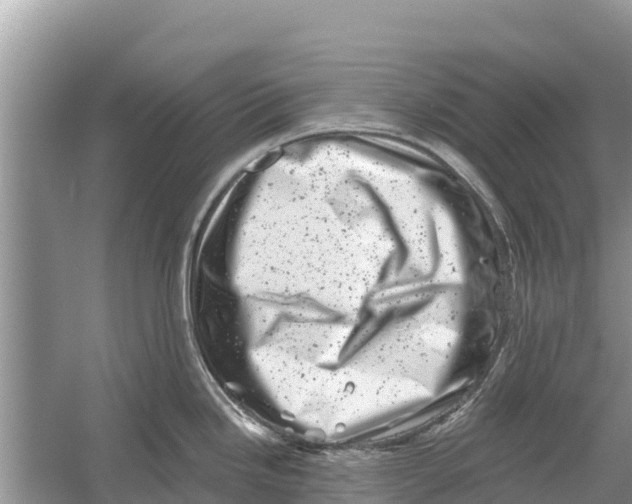 X0000055971246200509162150