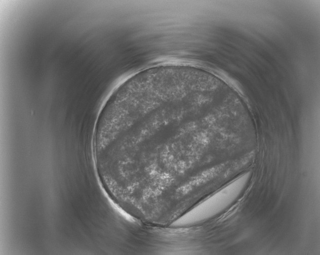 X0000055971247200509162150