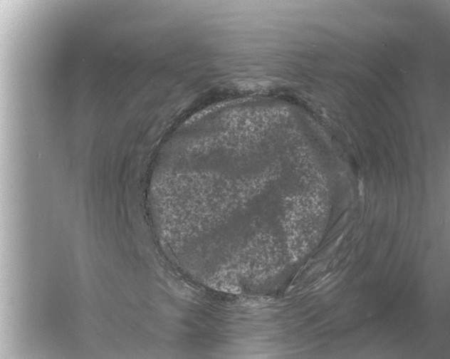 X0000055971249200509162149