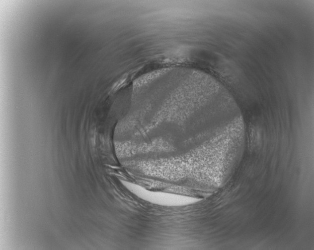 X0000055971250200509162149