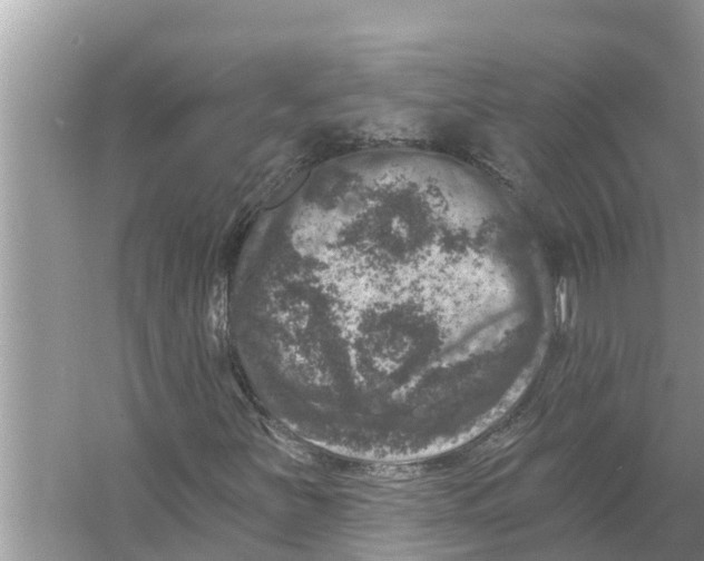 X0000055971251200509162149