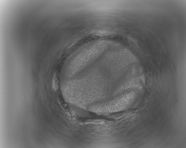 X0000055971253200509162149