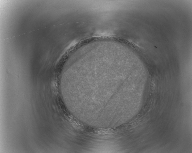 X0000055971254200509162149