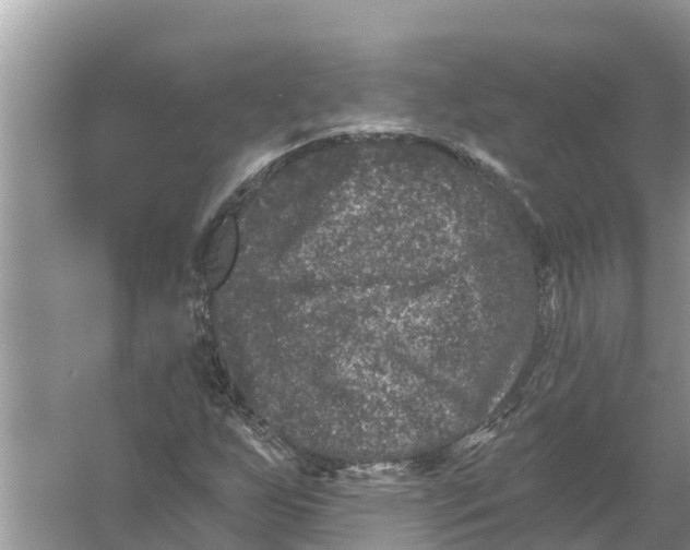 X0000055971255200509162149