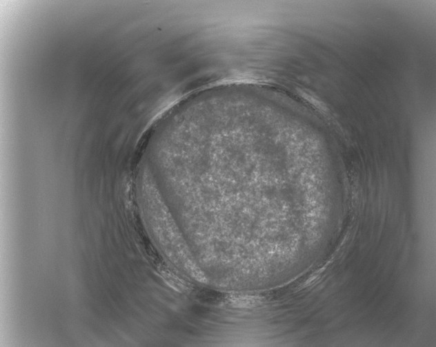 X0000055971258200509162149