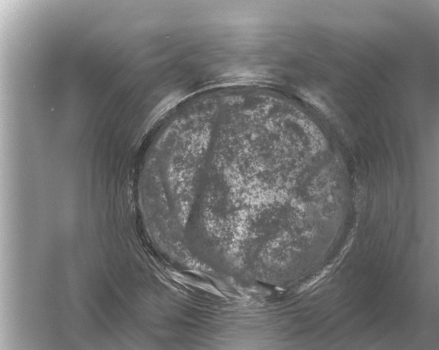 X0000055971259200509162149