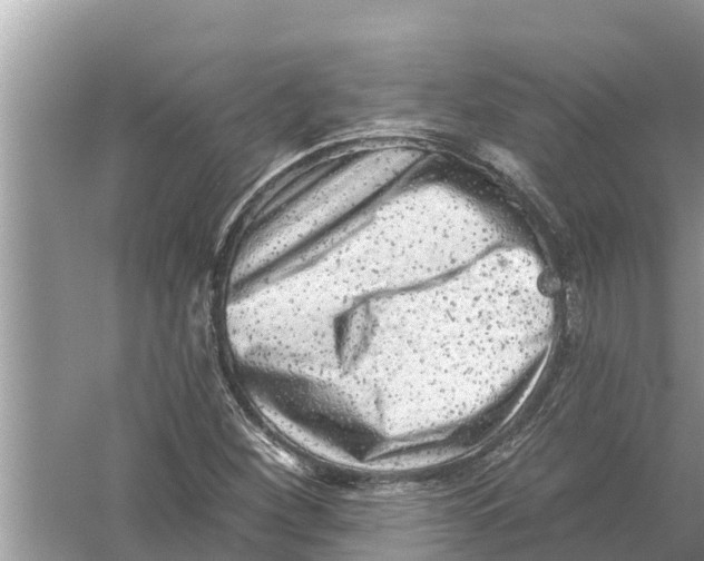 X0000055971260200509162149