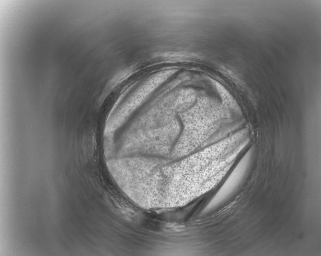 X0000055971261200509162149