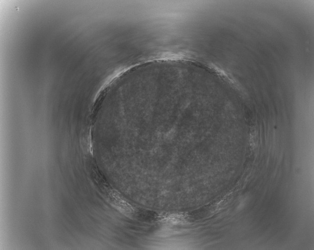 X0000055971262200509162149