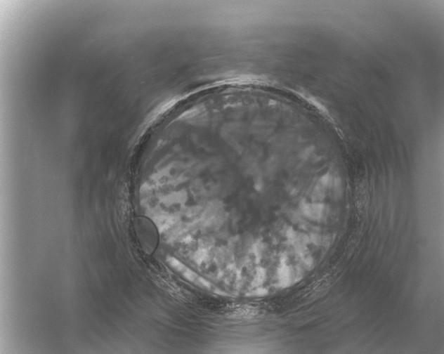 X0000055971263200509162149