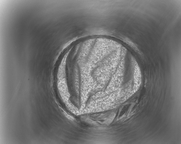 X0000055971264200509162149