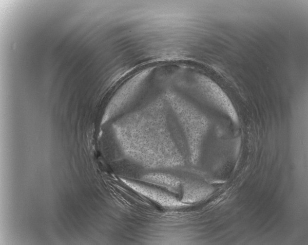 X0000055971265200509162149