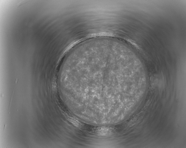 X0000055971266200509162149