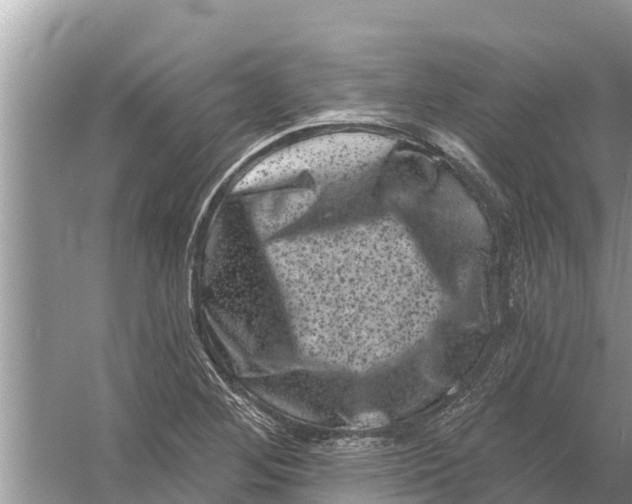 X0000055971268200509162149