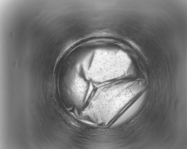 X0000055971270200509162149