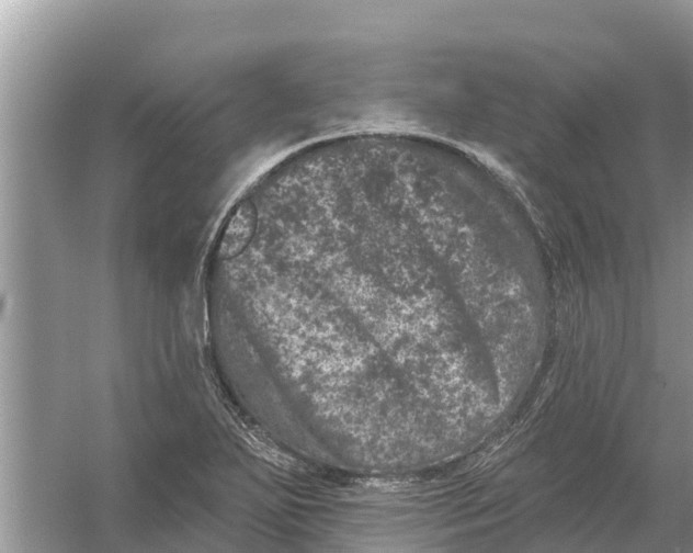 X0000055971271200509162149