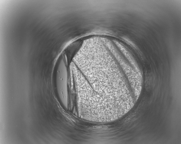 X0000055971272200509162149