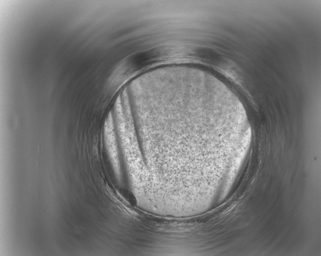 X0000055971273200509162149