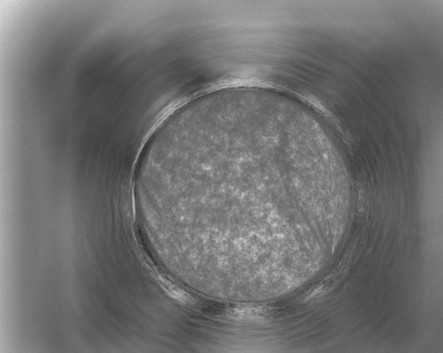 X0000055971274200509162149