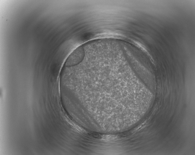 X0000055971275200509162149