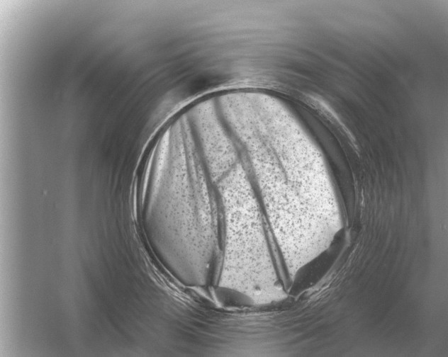 X0000055971276200509162149