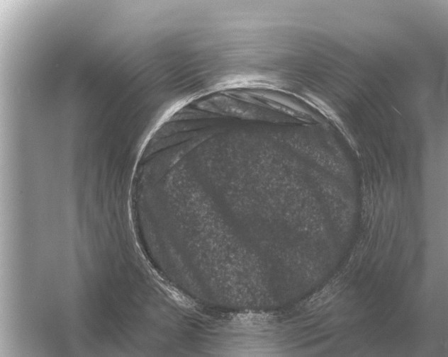 X0000055971277200509162149