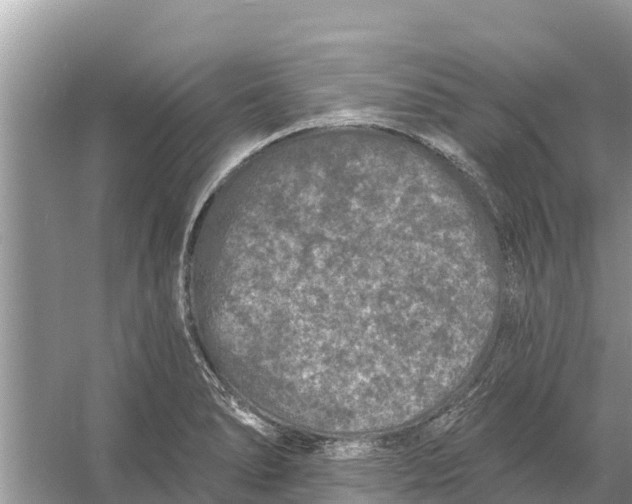 X0000055971278200509162149