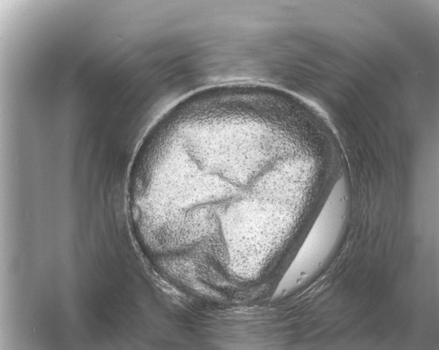 X0000055971279200509162149