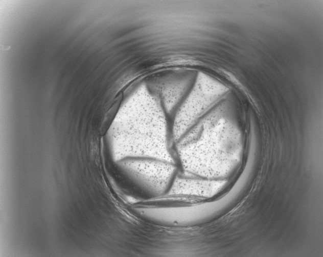 X0000055971281200509162149