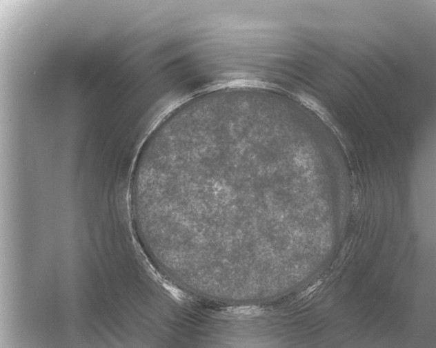 X0000055971282200509162149