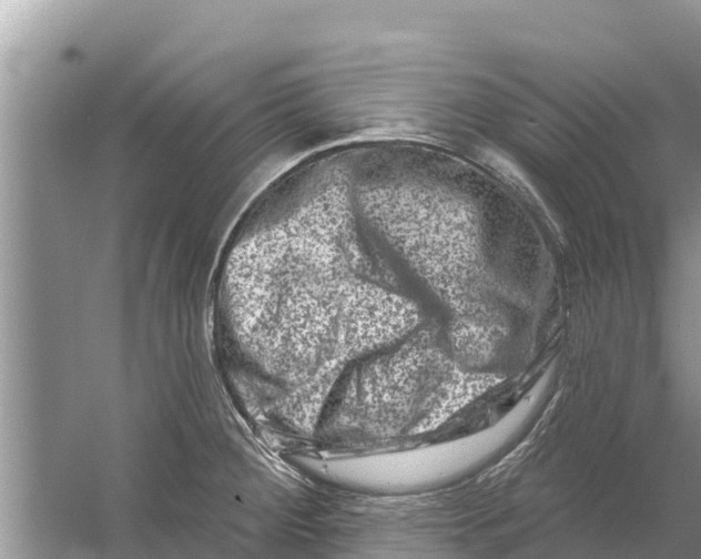 X0000055971284200509162149