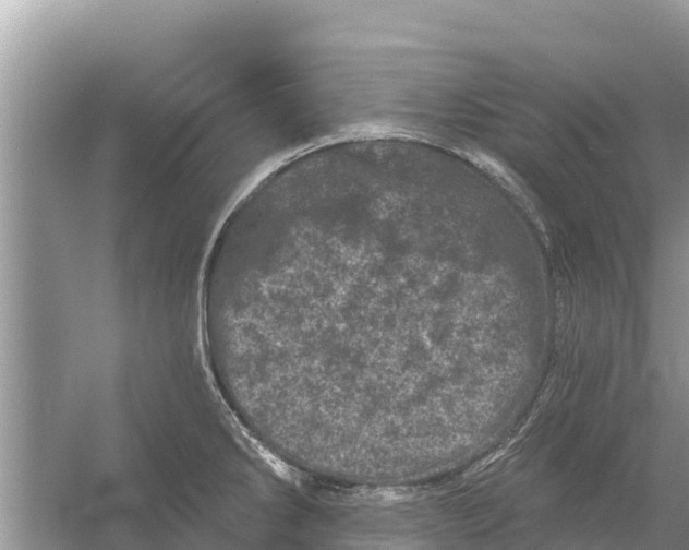 X0000055971286200509162149