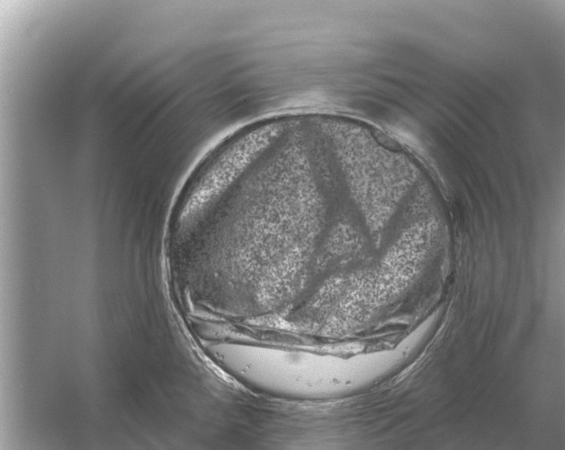 X0000055971288200509162149