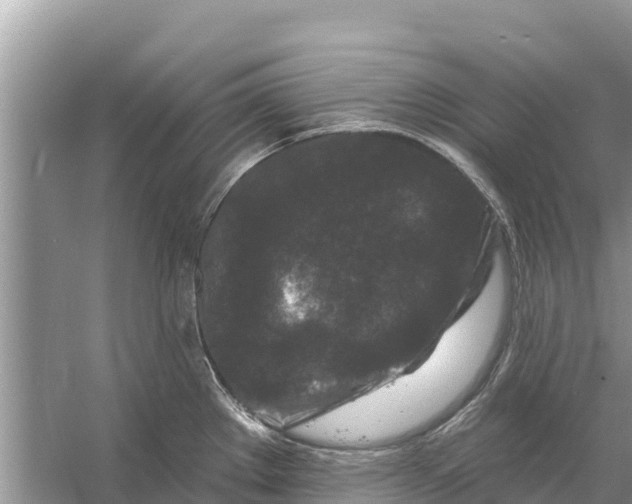 X0000055971289200509162149