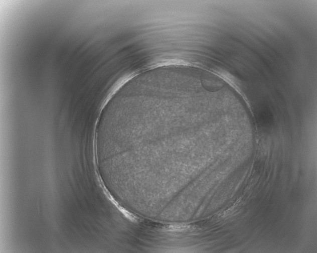 X0000055971290200509162149