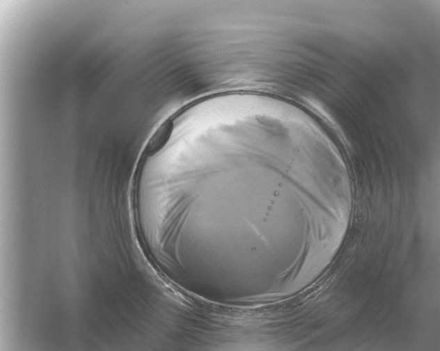 X0000055971291200509162149