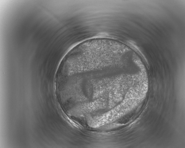 X0000055971292200509162149