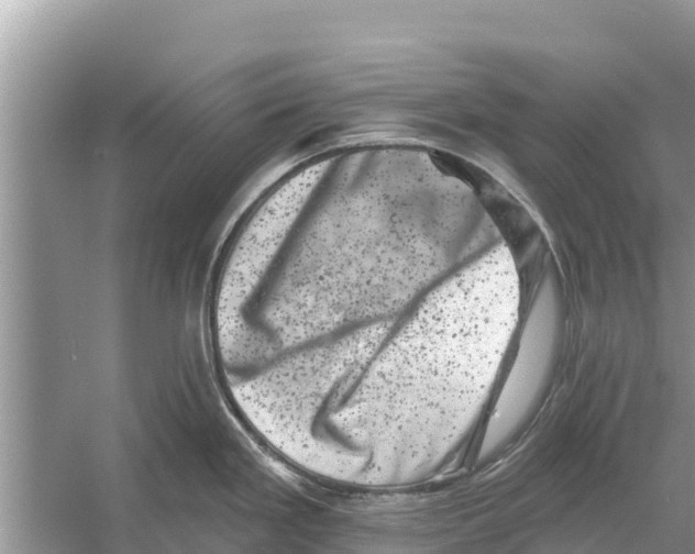 X0000055971293200509162149