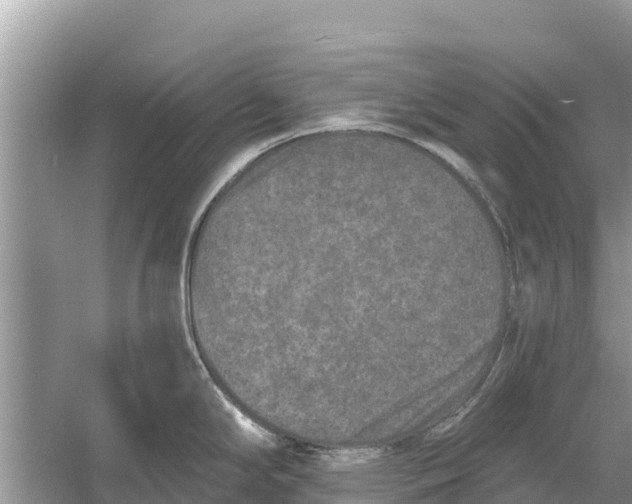 X0000055971294200509162148