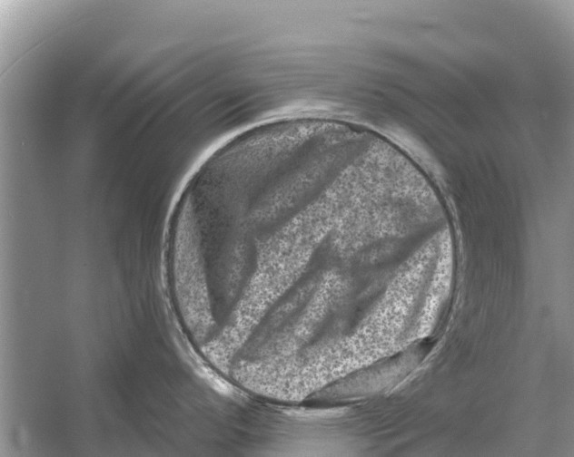 X0000055971296200509162148