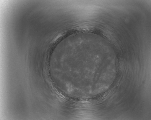 X0000055971297200509162148