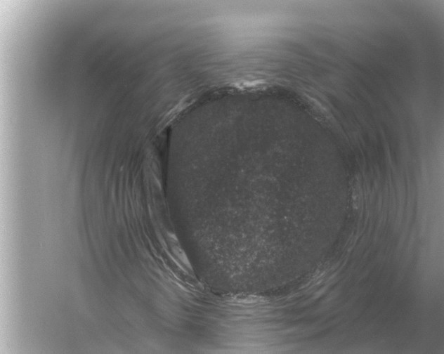 X0000055971298200509162148