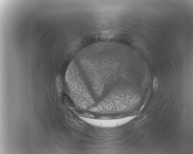 X0000055971299200509162148