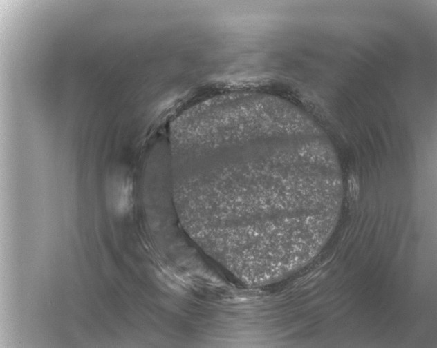 X0000055971300200509162148