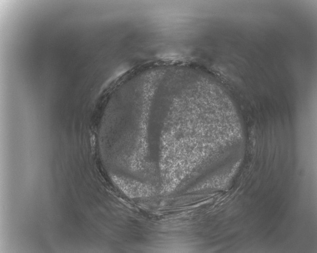 X0000055971302200509162148