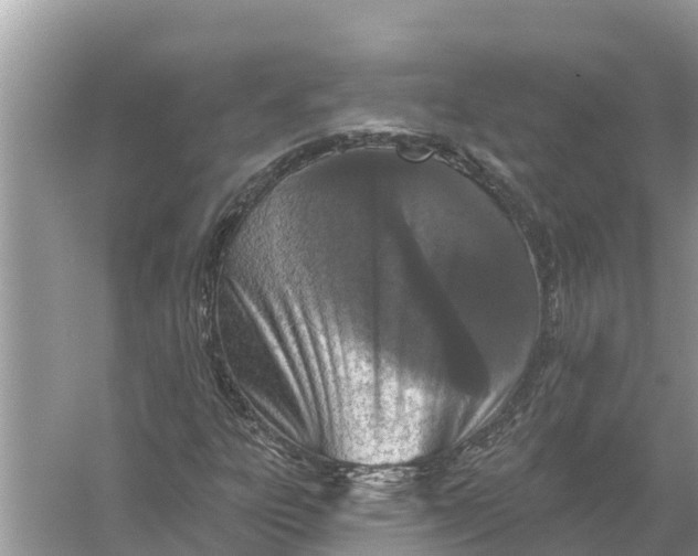 X0000055971303200509162148