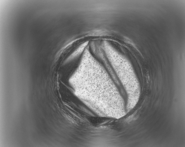 X0000055971304200509162148