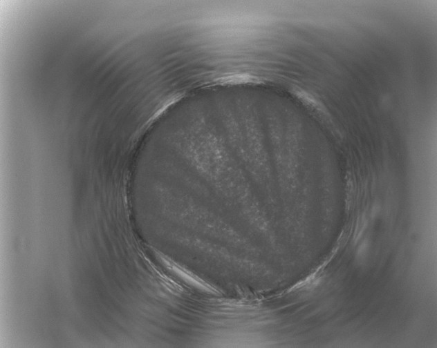 X0000055971305200509162148