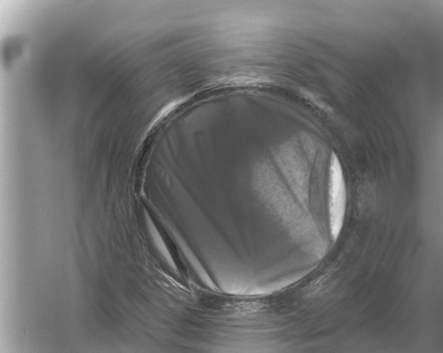 X0000055971306200509162148