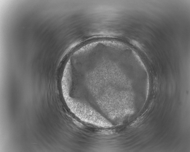 X0000055971307200509162148